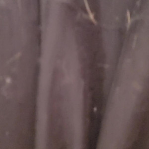 Video by vicktoriatacos published on August 23,2023 22:28:13 - BestThots