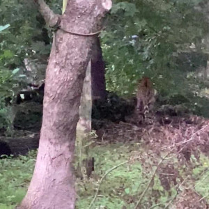 Video by jada_cameo published on March 30,2023 02:08:00 - BestThots