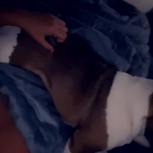 Video by mogwai_kb published on June 20,2023 03:38:00 - BestThots
