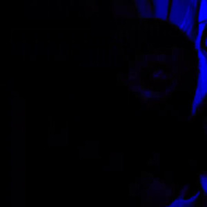 Video by s2x6974892 published on June 21,2023 17:44:00 - BestThots
