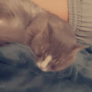 Video by esperacchi published on May 20,2023 19:26:00 - BestThots