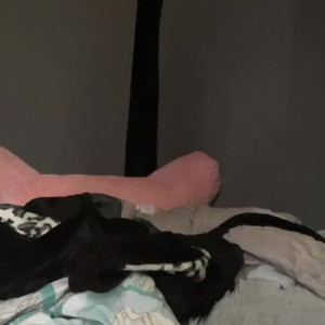 Video by smokingqueenalina published on August 16,2023 04:27:44 - BestThots
