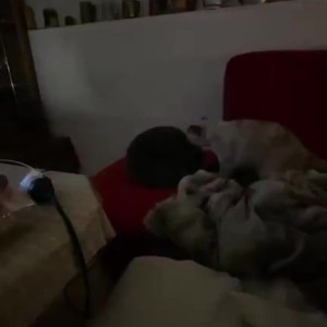 Video by smokingqueenalina published on August 16,2023 03:39:47 - BestThots