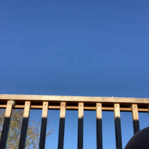 Video by ashlielotus published on June 6,2023 17:28:00 - BestThots