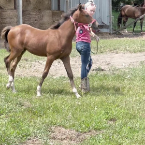 Video by bibailey published on April 5,2023 19:57:00 - BestThots