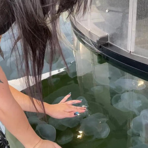 Video by blodvy published on March 8,2023 14:42:00 - BestThots