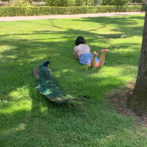 Video by snowonshoes published on July 31,2023 23:42:00 - BestThots