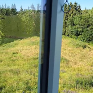Video by cristinacielo_ published on May 26,2023 03:43:00 - BestThots