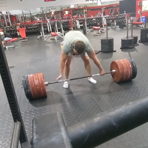 thebiggestbear #4577941