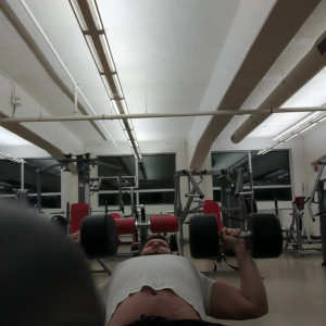 thebiggestbear #4830121