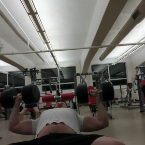 thebiggestbear #4915827