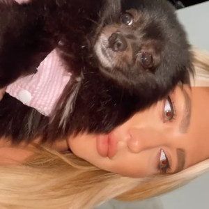 Video by stefbabyg published on May 28,2023 04:44:00 - BestThots