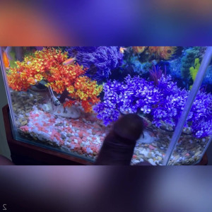 Video by vicosexx published on July 3,2023 08:10:00 - BestThots