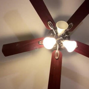 Video by ozjoestar published on July 2,2023 19:49:00 - BestThots
