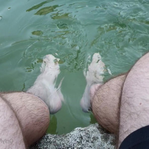 Video by hairy_musclebear published on June 17,2023 06:50:00 - BestThots