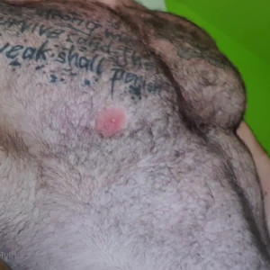 hairy_musclebear #5105845