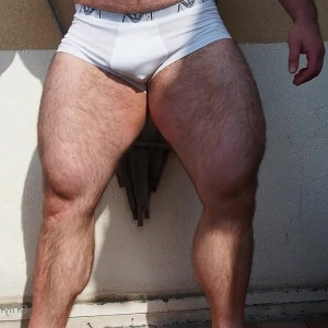 hairy_musclebear #5266632