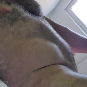 hairy_musclebear #5373519