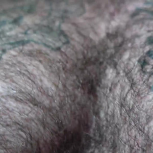 hairy_musclebear #5415661