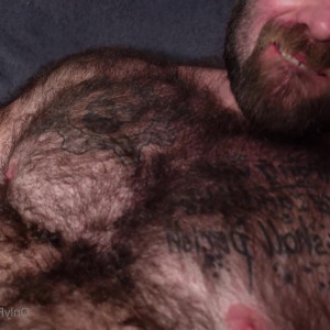 hairy_musclebear #5790597