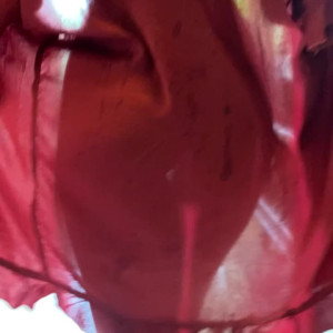 Video by carla-piece-of-art published on August 16,2023 07:23:29 - BestThots