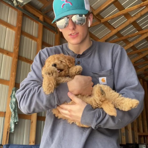 Video by loganwall published on March 10,2023 11:00:00 - BestThots