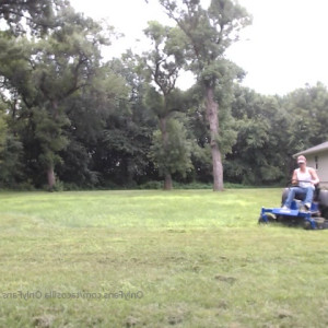 Video by loganwall published on June 4,2023 03:00:00 - BestThots
