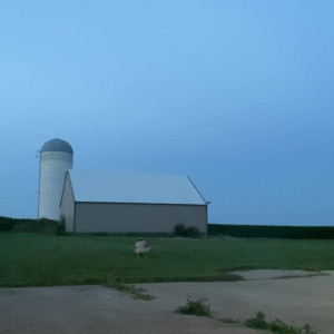 Video by loganwall published on July 7,2023 05:58:00 - BestThots
