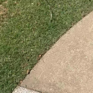 Video by bridgetblack published on April 2,2023 15:58:00 - BestThots