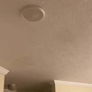 Video by bridgetblack published on May 2,2023 23:58:00 - BestThots