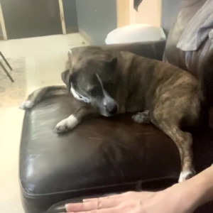 Video by bridgetblack published on March 30,2023 09:58:00 - BestThots