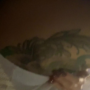 Video by veronicavictoriaperasso published on June 14,2023 01:34:00 - BestThots