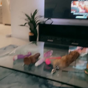 Video by veronicavictoriaperasso published on March 16,2023 14:05:00 - BestThots
