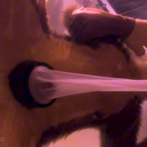 Video by bigpawbs published on March 24,2023 05:48:00 - BestThots