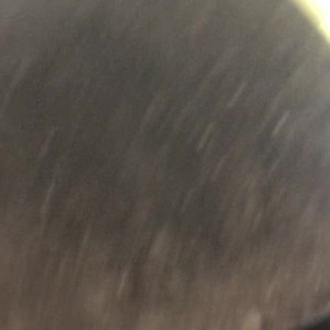 Video by iworshipavaonyx published on August 16,2023 07:24:37 - BestThots
