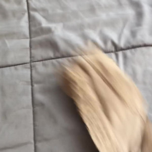 Video by iworshipavaonyx published on August 16,2023 07:02:00 - BestThots