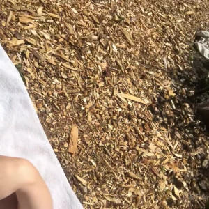 Video by iworshipavaonyx published on August 16,2023 06:58:43 - BestThots