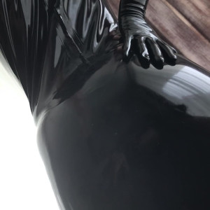 latex_fox #3752252