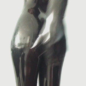 latex_fox #4311764