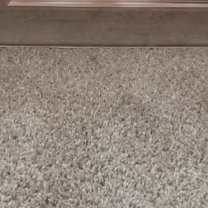 Video by whiptrax published on March 30,2023 00:13:00 - BestThots