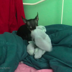 Video by ginaraemichaels published on March 21,2023 01:03:00 - BestThots