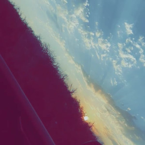 Video by ginaraemichaels published on March 17,2023 09:08:00 - BestThots