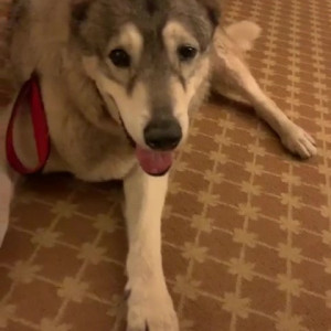 Video by krissylynn published on July 17,2023 09:48:00 - BestThots