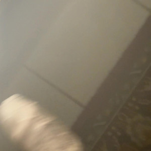 Video by eeubacelar published on March 25,2023 16:16:00 - BestThots