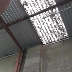 Video by michellexm published on August 24,2023 04:41:00 - BestThots