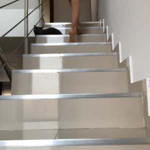 Video by liliemfc published on May 20,2023 08:02:00 - BestThots