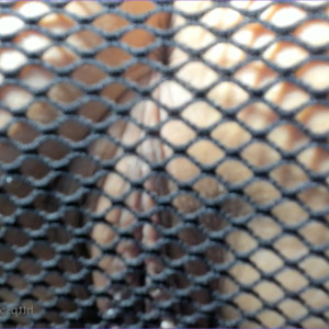 Video by liliemfc published on March 14,2023 02:59:00 - BestThots