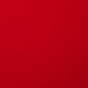 Video by nikitabellucci published on June 4,2023 08:38:00 - BestThots