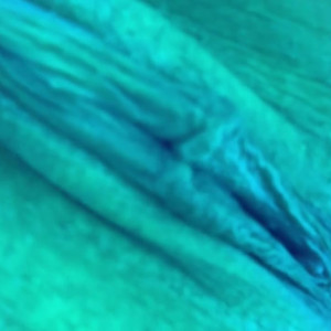 Video by nikitabellucci published on May 25,2023 22:34:00 - BestThots