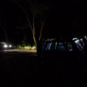 Video by nikitabellucci published on March 18,2023 11:14:00 - BestThots